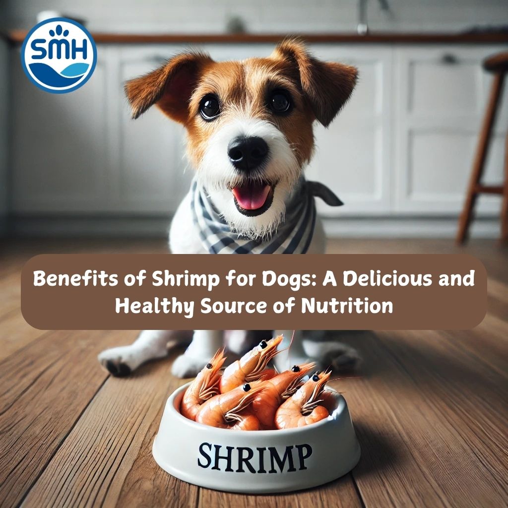  Benefits of Shrimp for Dogs: A Delicious and Healthy Source of Nutrition